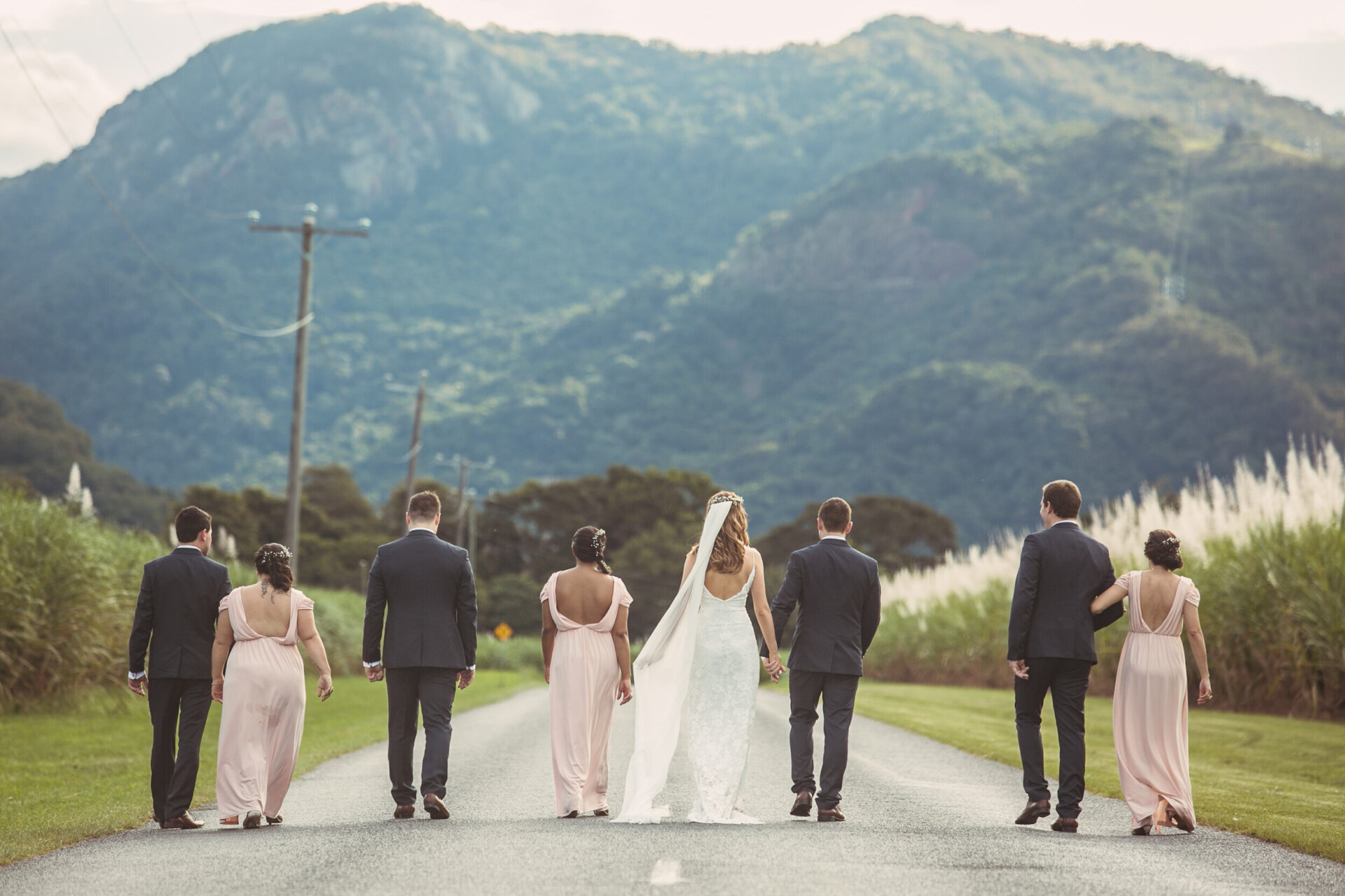 Bridal party, bride, groom and groomsmen walking on road near canefields